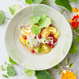 Tomaten-venkel salade met aalbessen, hangop en tomatenvinaigrette